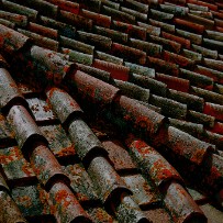 Toscane - Italie Toscane - Italie