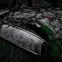 Le cimetière de voitures de Kaufdorf - Berne - Suisse Le cimetière de voitures de Kaufdorf - Berne - Suisse