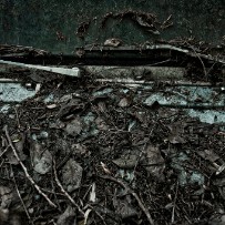 Le cimetière de voitures de Kaufdorf - Berne - Suisse Le cimetière de voitures de Kaufdorf - Berne - Suisse