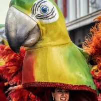 Le carnaval d'Évian-les-Bains - Haute-Savoie - France Le carnaval d'Évian-les-Bains - Haute-Savoie - France