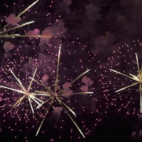 Les feux d'artifice aux fêtes de Genève - Suisse Les feux d'artifice aux fêtes de Genève - Suisse