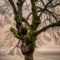 Depuis le Domaine De Rovorée - La Châtaignière jusqu'à Yvoire par le lac Léman - Haute-Savoie - France Depuis le Domaine De Rovorée - La Châtaignière jusqu'à Yvoire par le lac Léman - Haute-Savoie - France