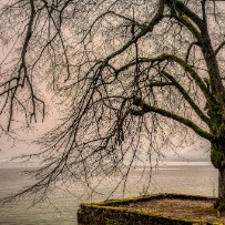 Depuis le Domaine De Rovorée - La Châtaignière jusqu'à Yvoire par le lac Léman - Haute-Savoie - France Depuis le Domaine De Rovorée - La Châtaignière jusqu'à Yvoire par le lac Léman - Haute-Savoie - France