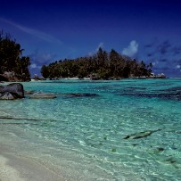 Les Seychelles - Océan Indien Les Seychelles - Océan Indien