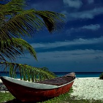 Les Seychelles - Île aux oiseaux - Océan Indien Les Seychelles - Île aux oiseaux - Océan Indien