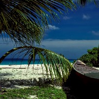 Les Seychelles - Île aux oiseaux - Océan Indien Les Seychelles - Île aux oiseaux - Océan Indien