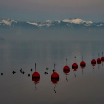 Bord du lac, Ouchy - Lausanne - Vaud - Suisse Bord du lac, Ouchy - Lausanne - Vaud - Suisse