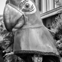 Le carnaval d'Évian-les-Bains - Haute-Savoie - France Le carnaval d'Évian-les-Bains - Haute-Savoie - France