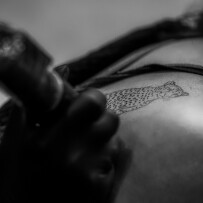 Evian Tattoo Show - Évian-les-Bains - Haute-Savoie - France Evian Tattoo Show - Évian-les-Bains - Haute-Savoie - France