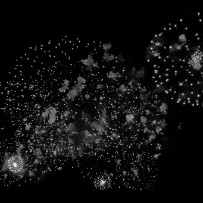 Les feux d'artifice aux fêtes de Genève - Suisse Les feux d'artifice aux fêtes de Genève - Suisse