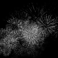 Les feux d'artifice aux fêtes de Genève - Suisse Les feux d'artifice aux fêtes de Genève - Suisse