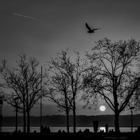 Bord du lac, Ouchy - Lausanne - Vaud - Suisse Bord du lac, Ouchy - Lausanne - Vaud - Suisse