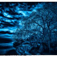 Bleu nuit Bleu nuit