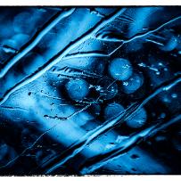 Bleu nuit Bleu nuit